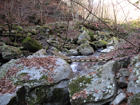 20161206hike (47)